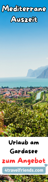 Wide Skyscraper (160x600)