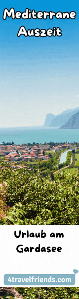 Wide Skyscraper (160x600)